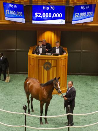 $2M Tapit Colt
