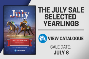 2025 July Sale Catalog