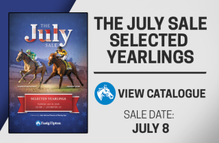 2025 July Sale Catalog