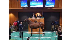Image Showing Four Star Sales Hip 140 2.8 Million Dollar Yearling.