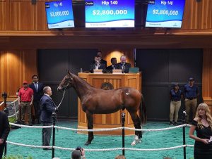 Photo of Four Star Sales Hip 140 which sold for 2.8 Million Dollars.
