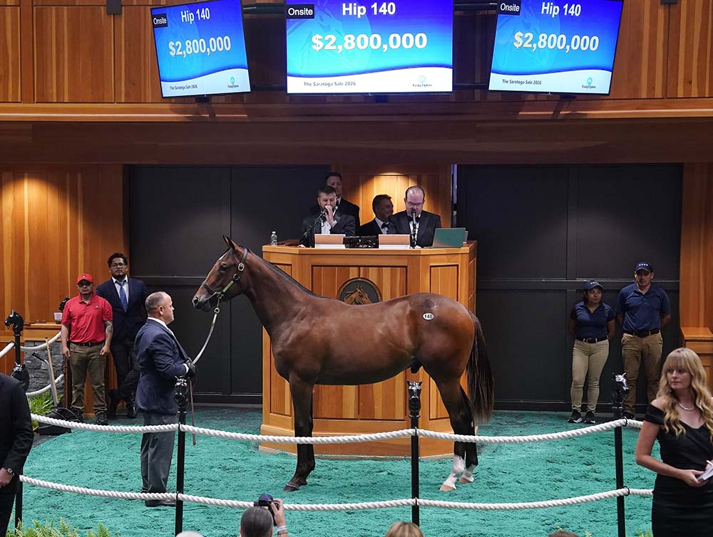 Photo of Four Star Sales Hip 140 which sold for 2.8 Million Dollars.