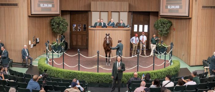 Keeneland September Catalogue Cover.